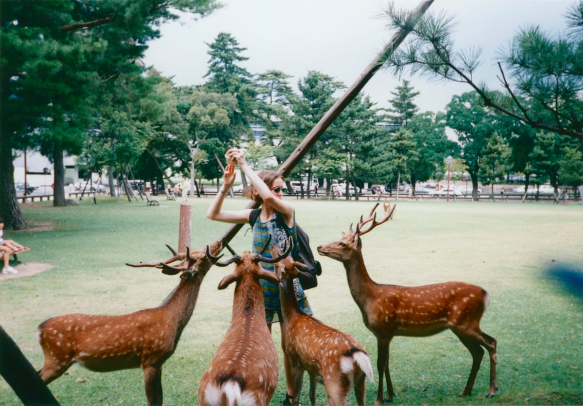 The author feeding deer.