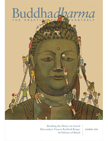 Buddhadharma Winter 2016