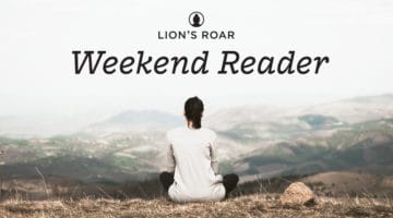 Why Do Buddhists Meditate?