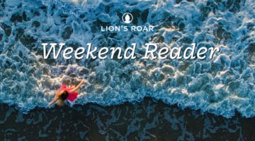 Waves of Impermanence 🌊