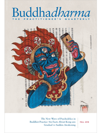 Buddhadharma Winter 2016