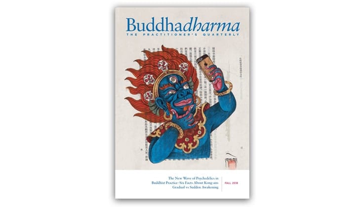 Buddhadharma fall 2018 magazine cover. There is a drawing of a figure taking a selfie on the cover.