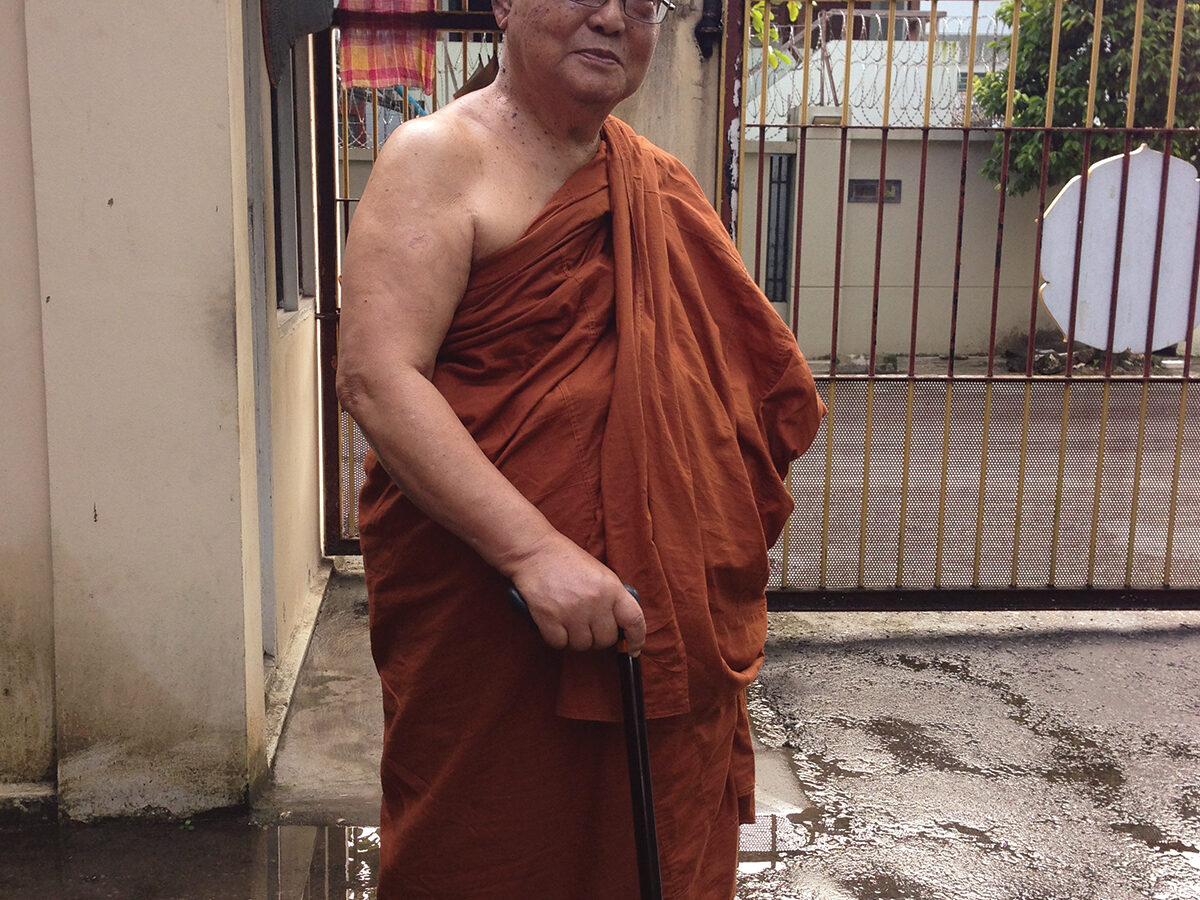 Who Was Sayadaw U Pandita Lions Roar
