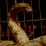 J.K. Rowling reveals Buddhist mythology in Harry Potter backstory