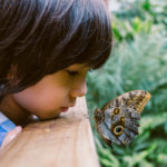 How to Cultivate Your Beginner’s Mind