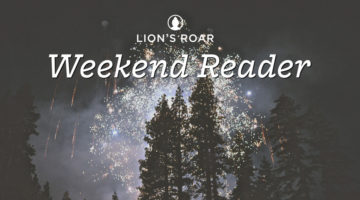lion s roar buddhist wisdom for our time