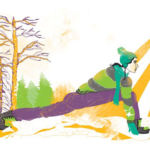 Snow Salutations