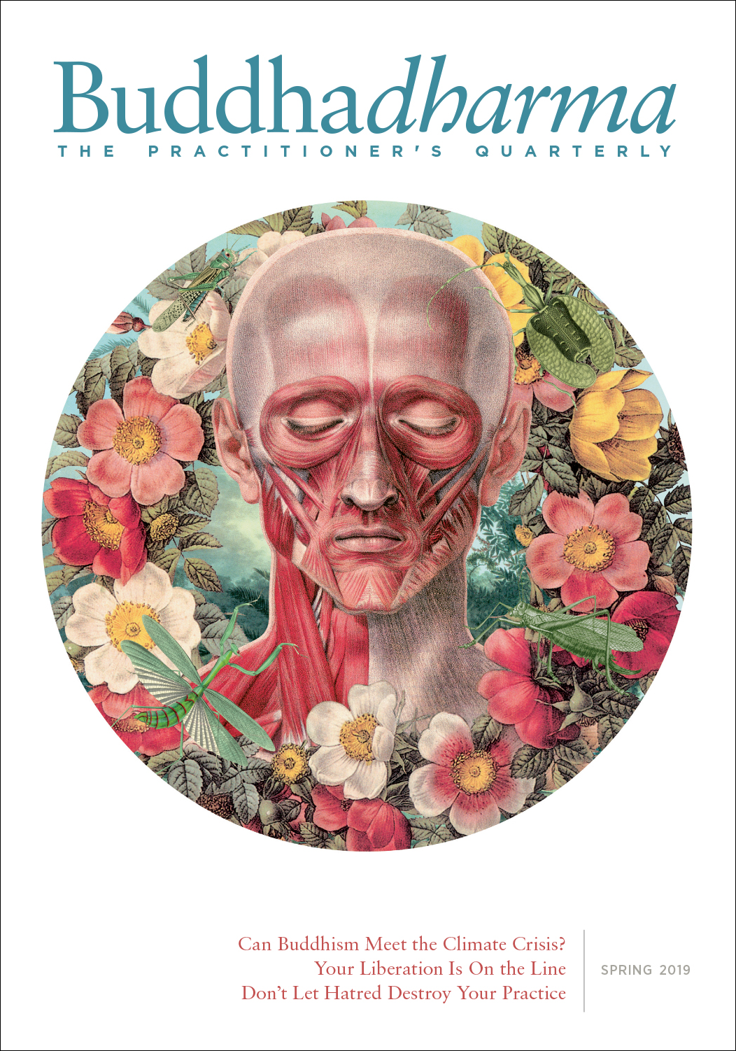 Spring 2019 Buddhadharma issue. It has a white background with art in a circle in the middle.