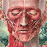 About the art in the Spring 2019 issue of Buddhadharma