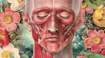 About the art in the Spring 2019 issue of Buddhadharma