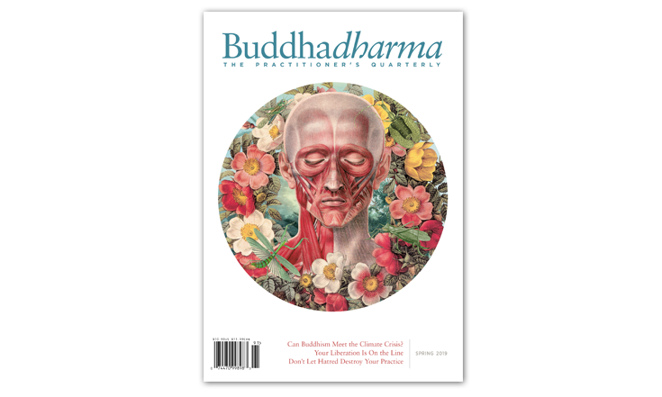 The magazine cover for Buddhadharma. There is a white background with a drawing of a skull face in the middle.