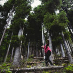 Other Ways to Practice Meditation