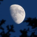 Become Friends with the Moon