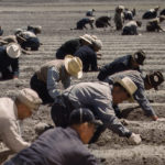Bearing Witness to the Wounds of Internment