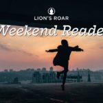 Welcome to the Realm of the Perpetual Beginner