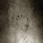 The Handprint Left Behind