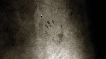 The Handprint Left Behind
