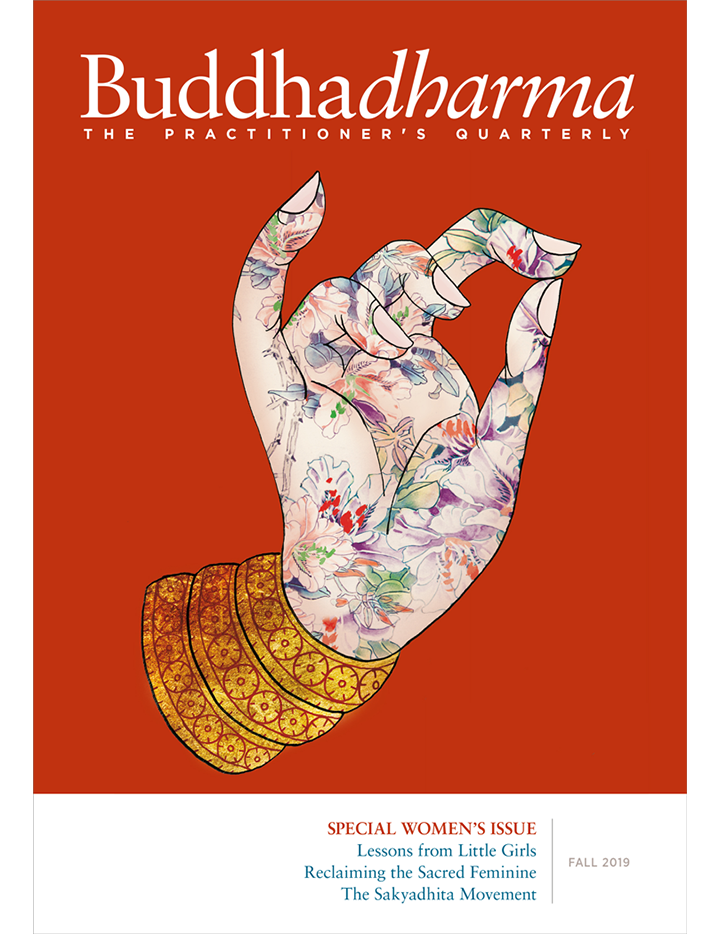 Buddhadharma Winter 2016