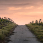 The Path We Walk as Women