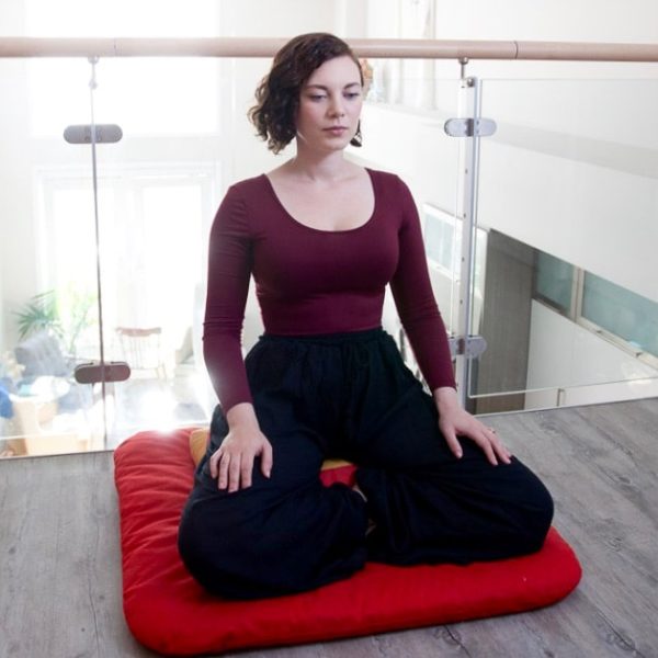How To Meditate The Buddhist Guide Lion S Roar