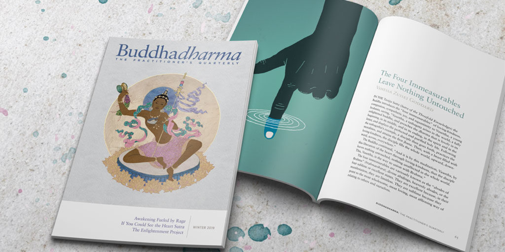 Buddhadharma: The Practitioner's Quarterly - Lion's Roar
