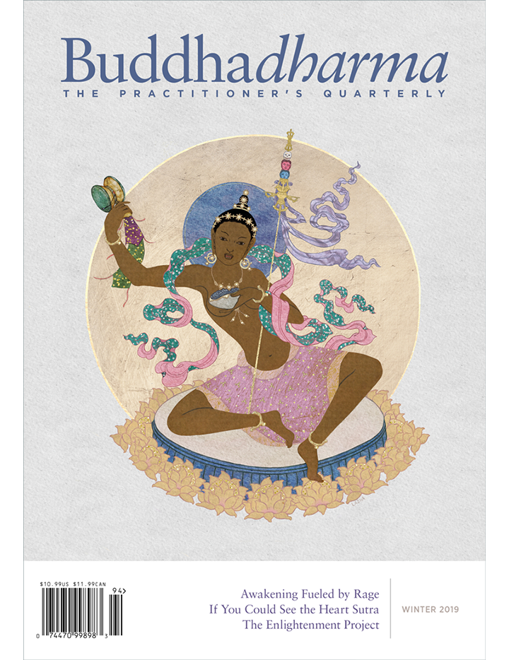 Buddhadharma Winter 2016