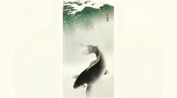 Swimming Upstream
