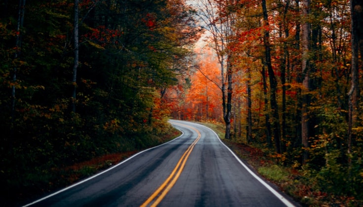 Autumn road.