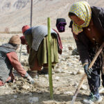 How Buddhist monks in Ladakh are fighting climate change