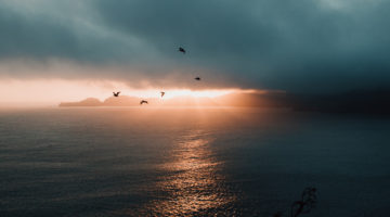 Exhaling into a Brighter Future
