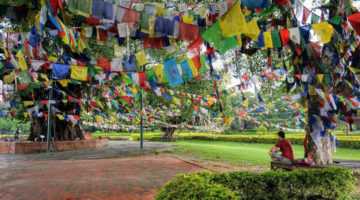 Where the Buddha’s Lessons Began