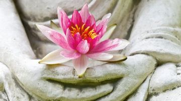 I See You, I Am Here: The Secret to Heartfelt Communication