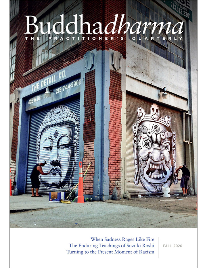 Buddhadharma Winter 2016