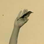 Free from the Burden of Holding On