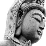 Wisdom x Compassion = Freedom