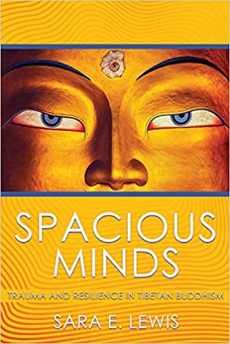 The book cover for Spacious Minds. There are two eyes above and below a yellow background.