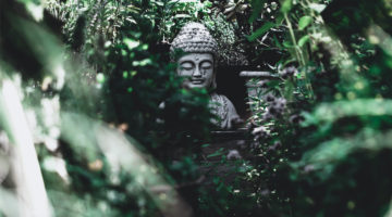 The Enlightenment Project