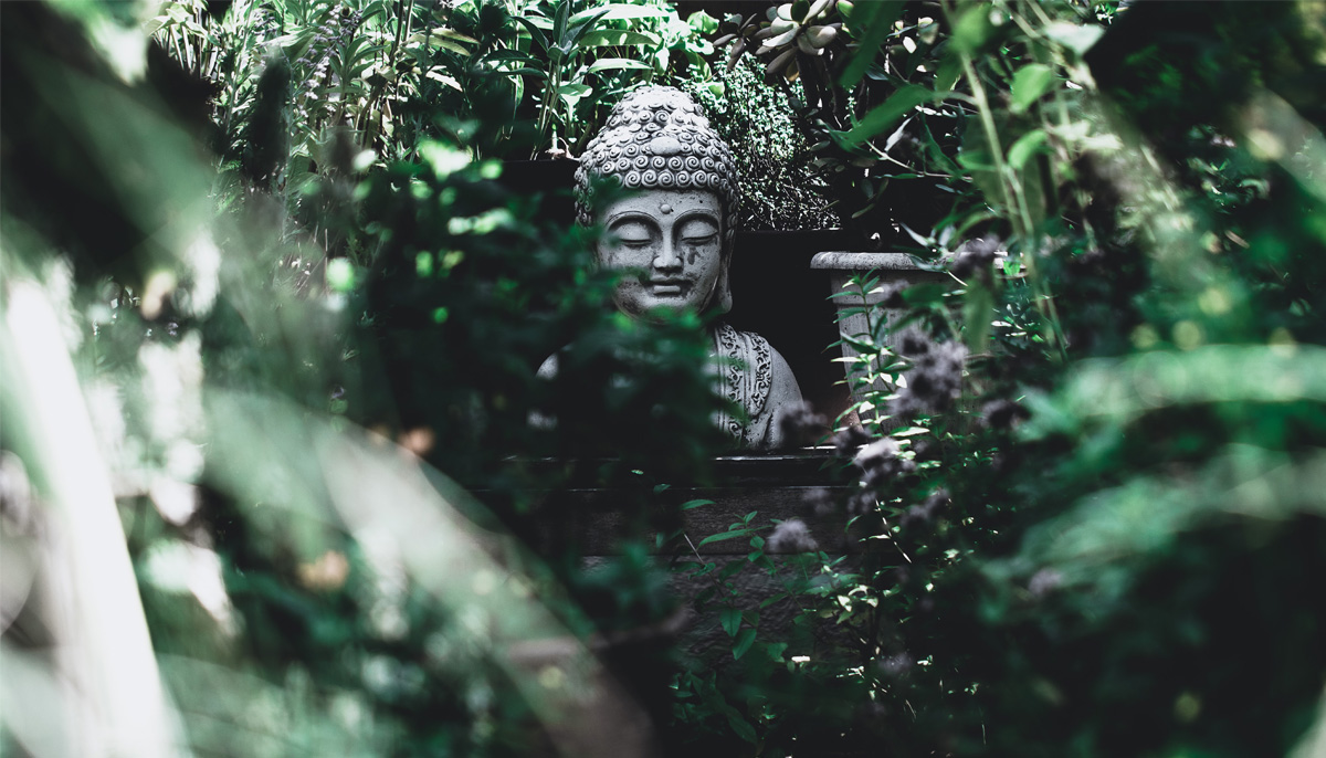 A buddha statue within greenery.