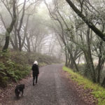 On the Trail of Birth and Death