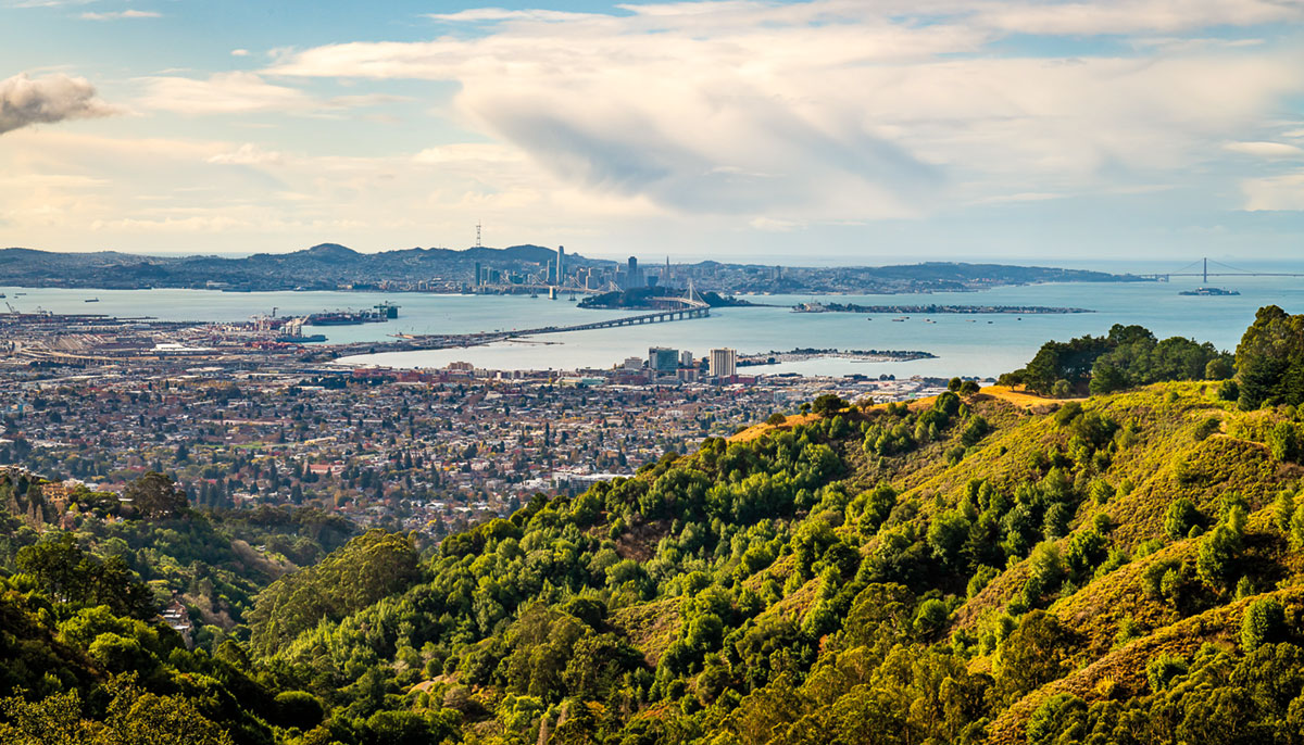 A scenic photo of a bunch of trees next to a city landscape.