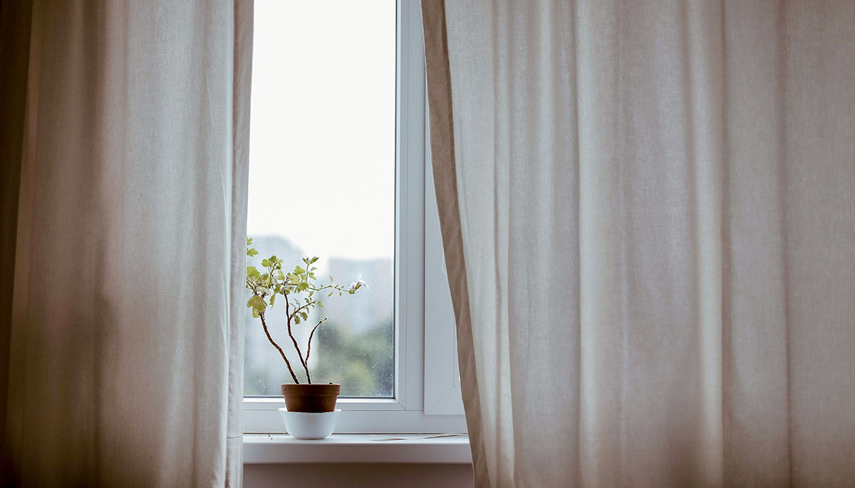 A plant on a windowsill with curtains blowing.