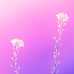 Searching for Spring: Pat Enkyo O’Hara on a Poem by a Sung Dynasty Nun