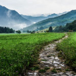 Wherever We Find Ourselves on the Path