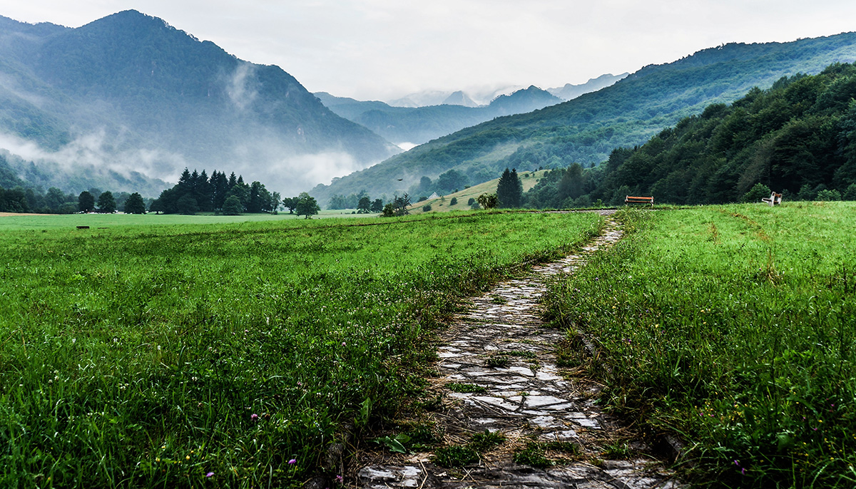 Scenic photo of a path with grass on either side of it. There are mountains in the background.
