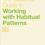The Essential Guide to Working with Habitual Patterns
