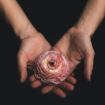 Four Meditations to Practice in the Wake of a Tragedy