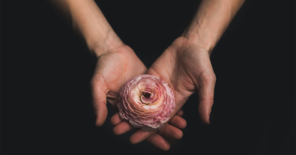 Four Meditations to Practice in the Wake of a Tragedy
