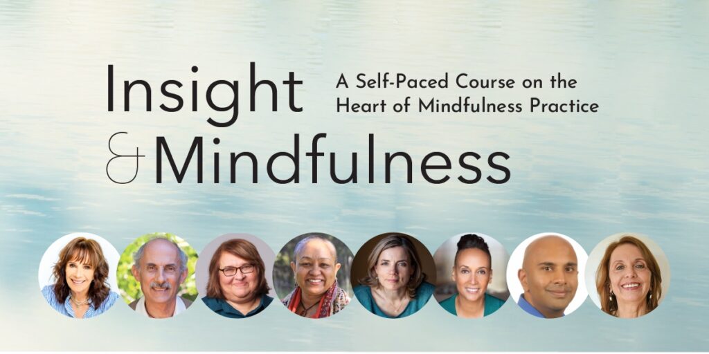 Lion's Roar's "Insight & Mindfulness" course features Trudy Goodman, Jack Kornfield, Sharon Salzberg, Noliwe Alexander, Christiane Wolf, Alisa Dennis, Gullu Singh, and Zayda Vallejo.