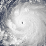 Hurricane Mind