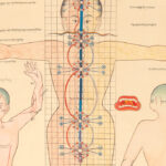 Rubin Museum debuts new exhibit, “Healing Practices: Stories from Himalayan Americans”